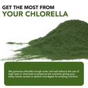 sun-chlorella-powder-green-superfood-alg-6.jpg