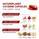 vascu-flow-cayenne-pepper-capsules-organ-2.jpg