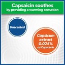 salonpas-pain-relieving-hot-capsicum-pat-4.jpg
