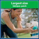 salonpas-pain-relieving-hot-capsicum-pat-3.jpg