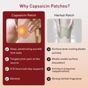 hot-capsaicin-knee-patches-14pcs-fast-ac-5.jpg