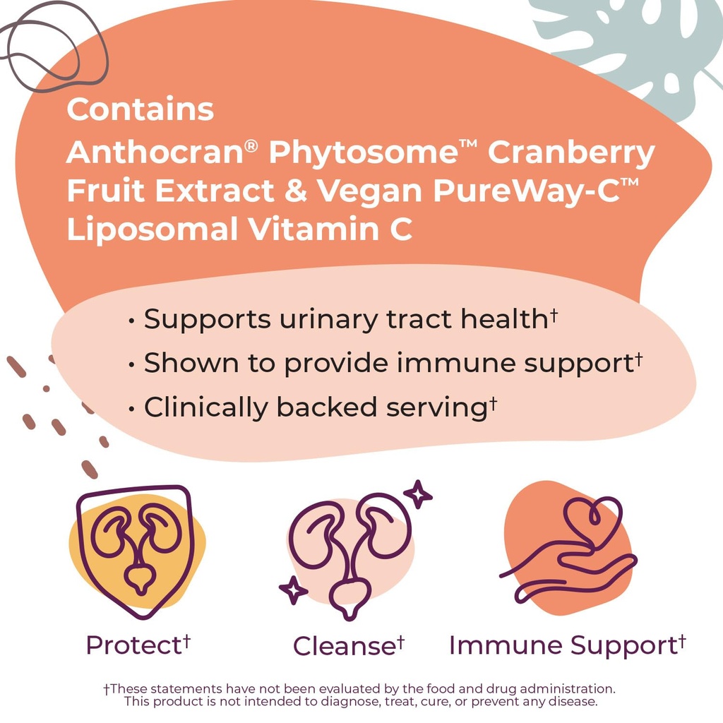 body-kitchen-urinary-tract-shield-with-a-3.jpg