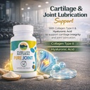 pure-joint-glucosamine-chondroitin-msm-j-3.jpg