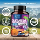 glucosamine-chondroitin-msm-complex-3x-s-4.jpg
