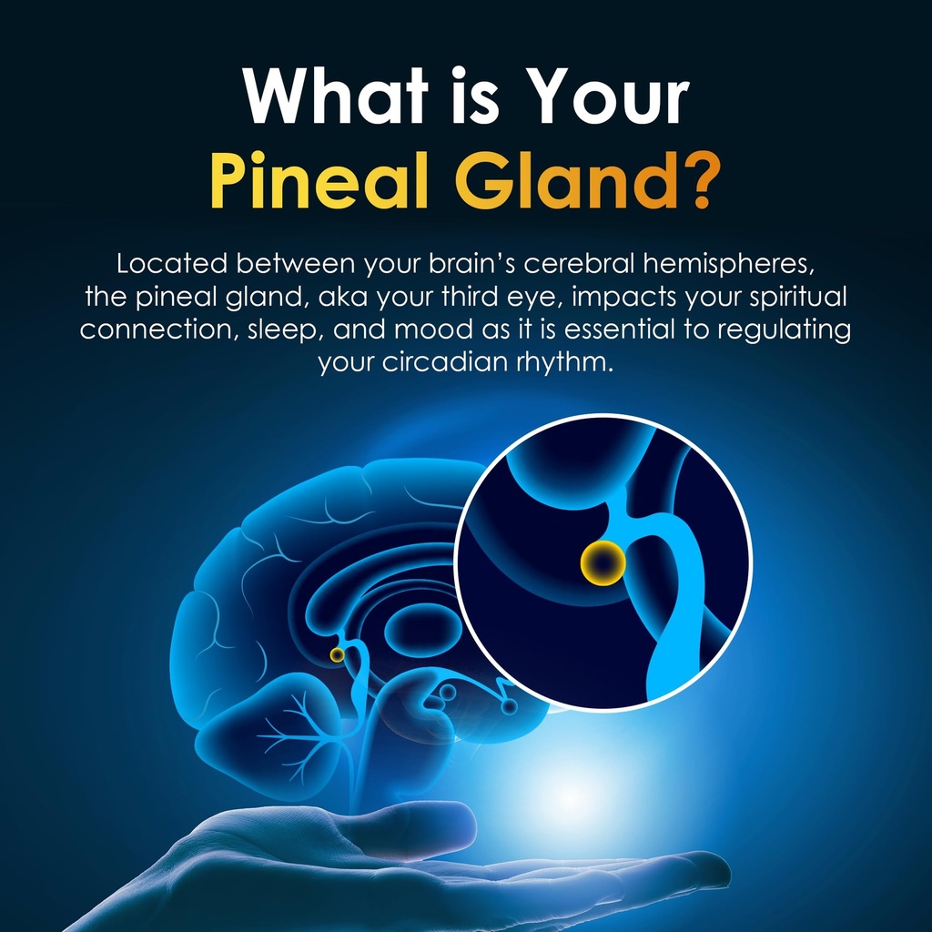 pineal-gland-supplement-brain-support-fo-5.jpg