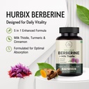 hurbix-berberine-1300-mg-5-in-1-enhanced-4.jpg