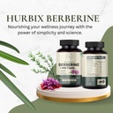 hurbix-berberine-1300-mg-5-in-1-enhanced-6.jpg