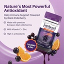 sambucol-black-elderberry-gummies-elderb-3.jpg