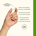 swanson-double-strength-boswellia-serrat-4.jpg