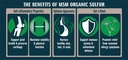 msm-organic-sulfur-crystals-by-no-bounda-3.jpg