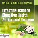 frutos-pachamama-organic-soursop-bitter--4.jpg