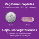 webber-naturals-women-s-multi-probiotic--5.jpg