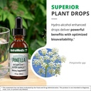 nutramedix-detox-support-bundle-liquid-d-6.jpg