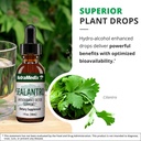 nutramedix-sealantro-body-detox-drops-an-5.jpg