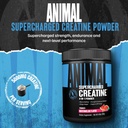 animal-supercharged-creatine-powder-flav-2.jpg