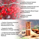 vidavite-berberine-with-ceylon-cinnamon--5.jpg