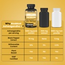 noomost-ashwagandha-1200mg-supplement-10-5.jpg