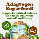 food-to-live-organic-triphala-powder-2-p-6.jpg