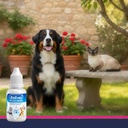dog-eye-drops-cat-eye-drops-vet-recommen-6.jpg