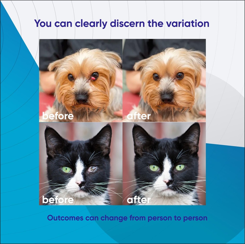 dog-eye-drops-cat-eye-drops-vet-recommen-2.jpg