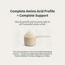 snap-supplements-organic-plant-based-veg-6.jpg
