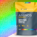 purbolics-aminos-energy-supports-recover-5.jpg