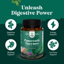 pancreatin-digestive-enzymes-digestion-f-3.jpg