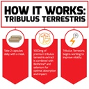 force-factor-tribulus-terrestris-for-men-5.jpg