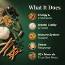 shilajit-sea-moss-lions-mane-ashwagandha-3.jpg