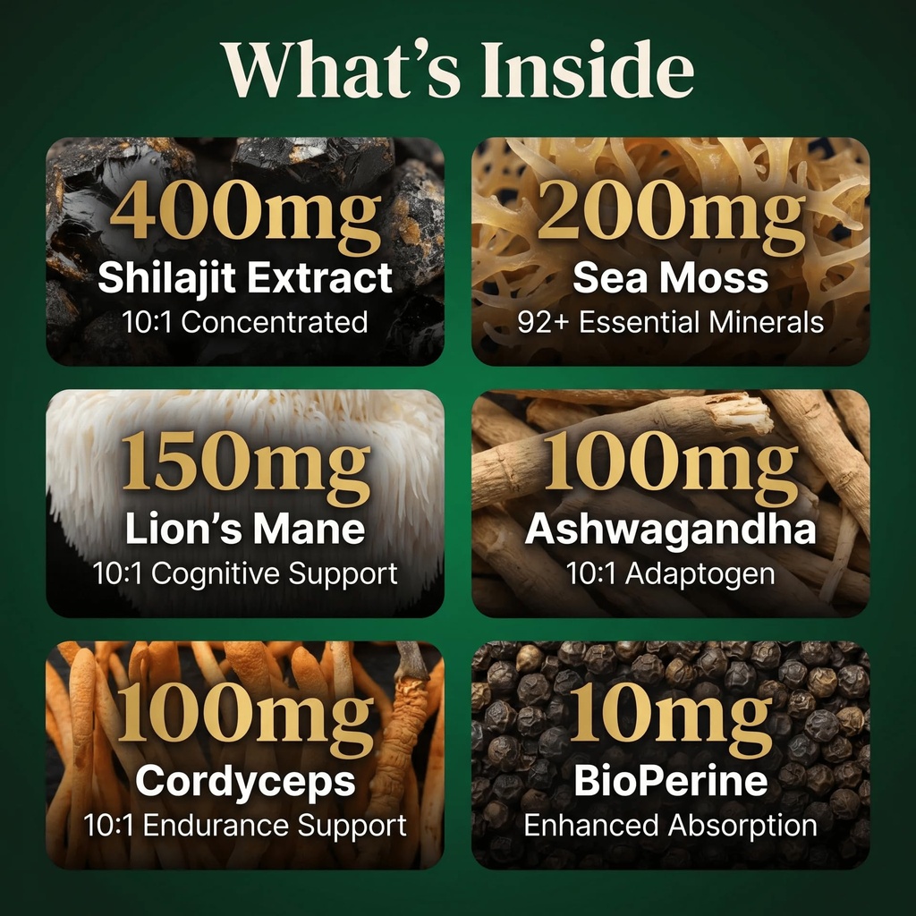 shilajit-sea-moss-lions-mane-ashwagandha-4.jpg
