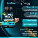adndale-seamoss-shilajit-combo-sea-moss--2.jpg
