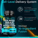 adndale-seamoss-shilajit-combo-sea-moss--3.jpg