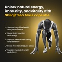 shilajit-capsules-with-sea-moss-ashwagan-2.jpg