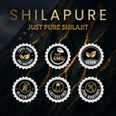 altair-shilapure-100-pure-shilajit-table-5.jpg