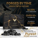 altair-shilapure-100-pure-shilajit-table-4.jpg
