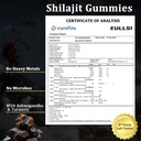 pure-himalayan-shilajit-gummies-for-men--3.jpg