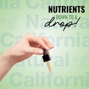 wild-oregano-oil-1oz-bottle-california-n-6.jpg
