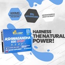 olimp-ashwagandha-ksm-66-60-vegan-capsul-3.jpg