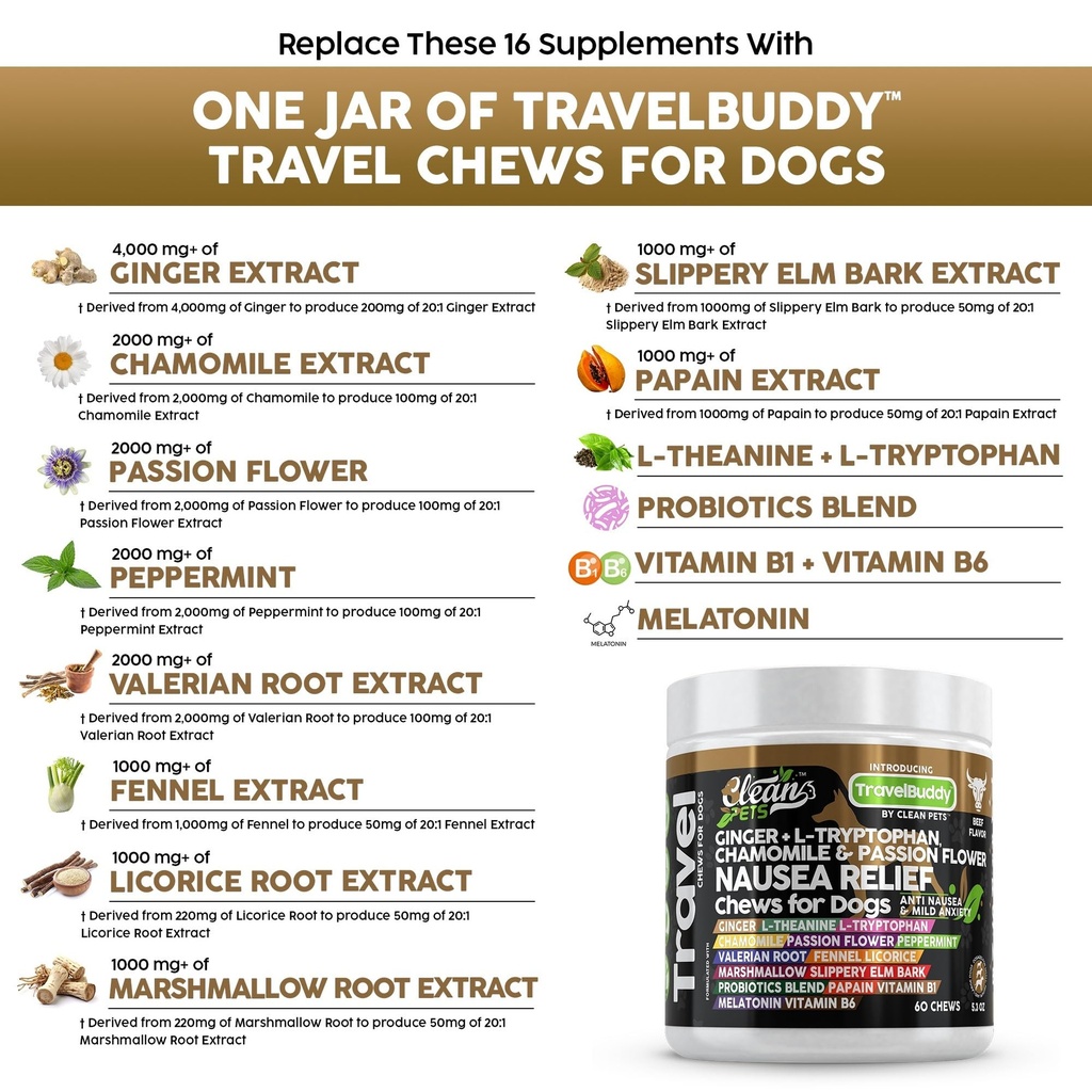 clean-pets-travel-chews-nausea-relief-fo-3.jpg