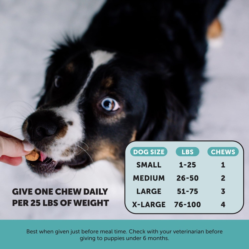 pet-honesty-hemp-calming-multivitamin-vi-5.jpg