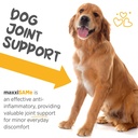 maxxipaws-maxxisame-advanced-sam-e-powde-4.jpg