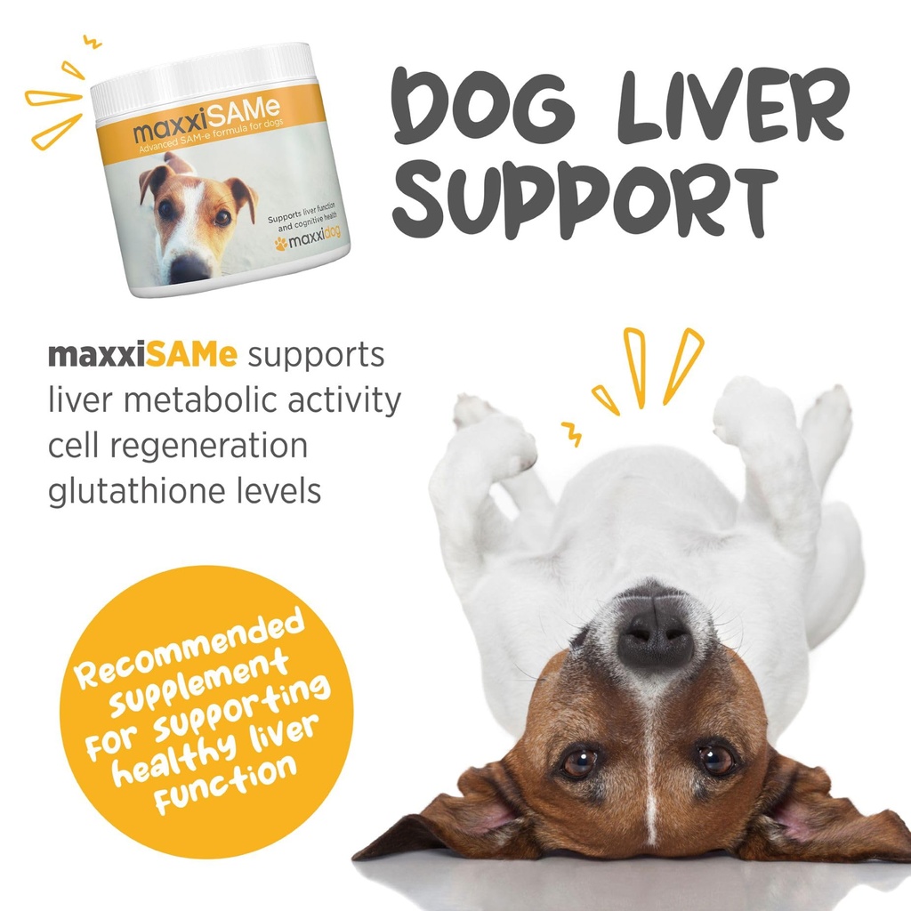maxxipaws-maxxisame-advanced-sam-e-powde-2.jpg