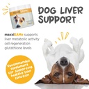 maxxipaws-maxxisame-advanced-sam-e-powde-2.jpg