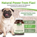 lignans-for-life-flaxseed-lignans-for-do-2.jpg