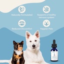 pranapets-nervous-system-support-for-dog-3.jpg