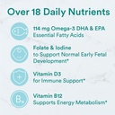 smartypants-prenatal-vitamins-for-women--6.jpg