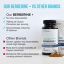 berberine-supplement-ceylon-cinnamon-sup-3.jpg
