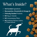 fera-pets-dog-multivitamin-chews-with-gl-3.jpg