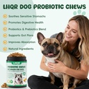 probiotics-for-dogs-digestive-health-che-2.jpg