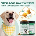 probiotics-for-dogs-digestive-health-che-5.jpg